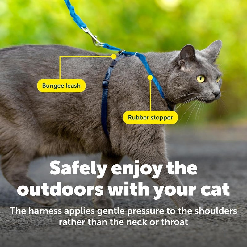 PetSafe حزام قطة تعال معي وحزام بونجي - حزام مريح بدون اختناق مع حزام بونجي خفيف الوزن للمتعة في الهواء الطلق - منع السحب الهروب - كبير - أزرق ملكي - Image 5