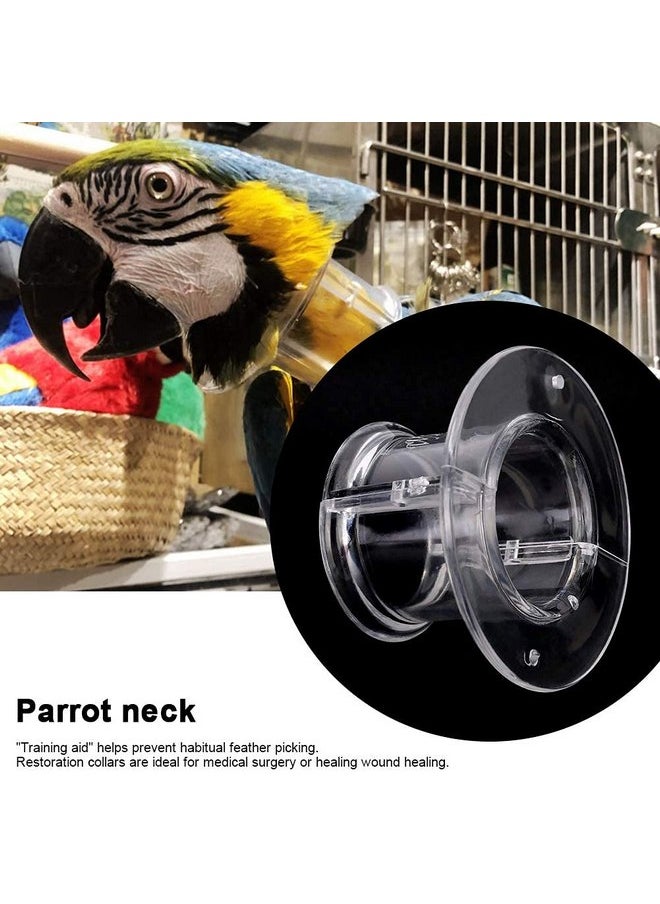 Leftwei Parrot Collar,Transparent Color Neck Collar, with 6pcs Screw, Bird Neck Protective - pzsku/Z855C24ADB5CFA6FA4C70Z/45/_/1737031748/8d4147e6-983a-4bfa-a87f-3699a1240827