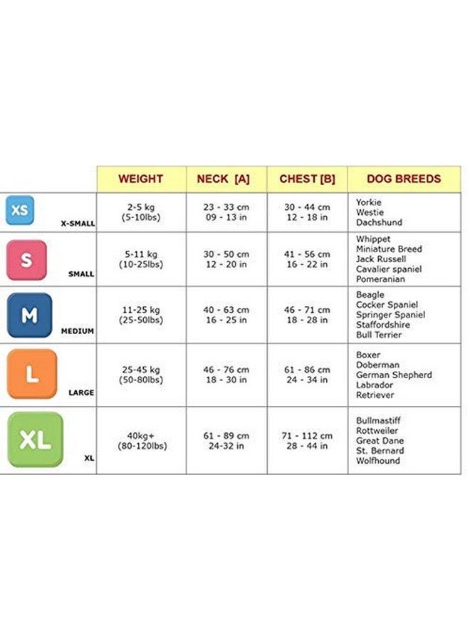 حزام صدر مبطن قابل للتعديل للكلاب مقاس 0.75 بوصة مع مقود لجميع سلالات الكلاب والجراء (أحمر) - متوسط - Image 3
