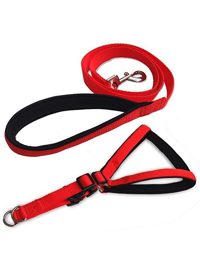 حزام صدر مبطن قابل للتعديل للكلاب مقاس 0.75 بوصة مع مقود لجميع سلالات الكلاب والجراء (أحمر) - متوسط - Image 1