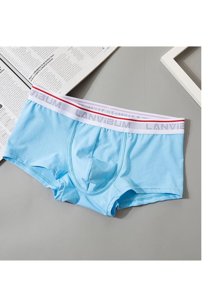 Loquat Student Youth Mid - Waist Cotton Boxers Solid Color Blue 