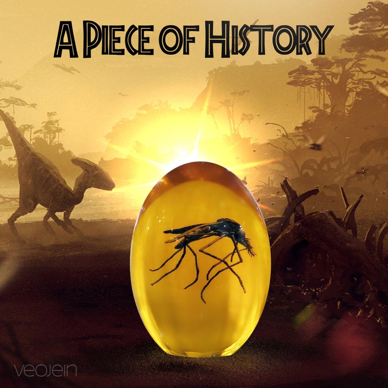 VEOJEIN Jurassic Mosquito in Amber [2D-C] Durable Resin Encased Detailed 2D Insect Replica. Perfect for Collectors and Enthusiasts | Paperweight, Aged Effect, Desk Ornament - Image 2