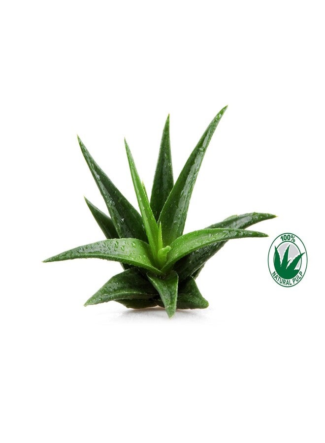 Frela 100% Pure Organic Aloe Vera Pulp, 12 Ounce - Image 2