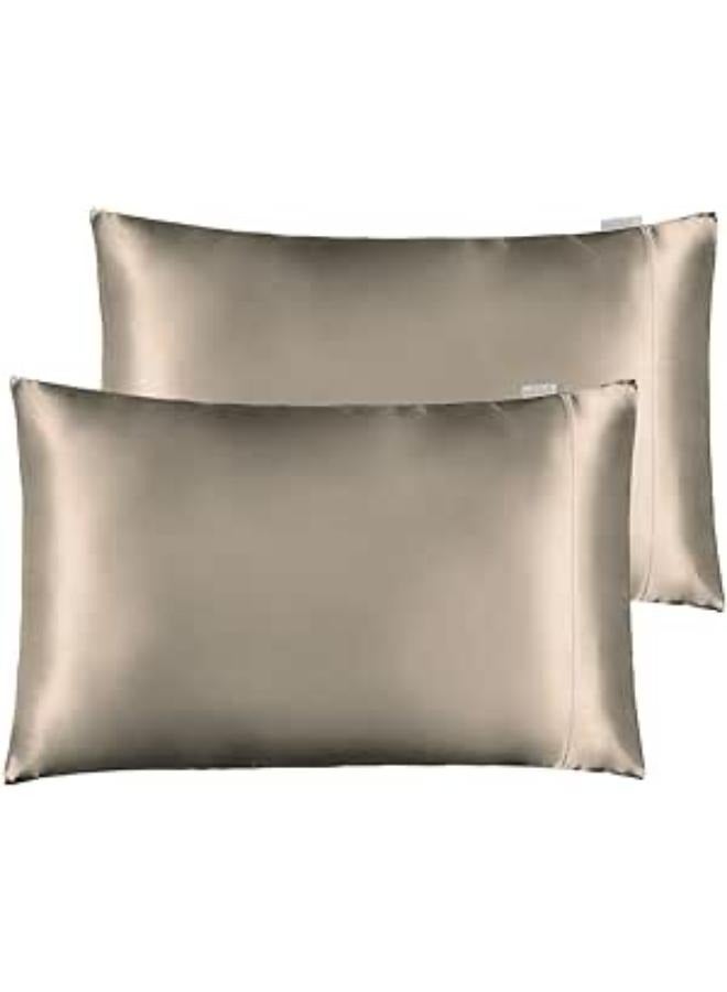 2 Pack Satin Pillowcases for Hair and Skin, Luxury Soft Queen (20x30 Inches) Silky Pillow Cases with Envelope Closure, Beige