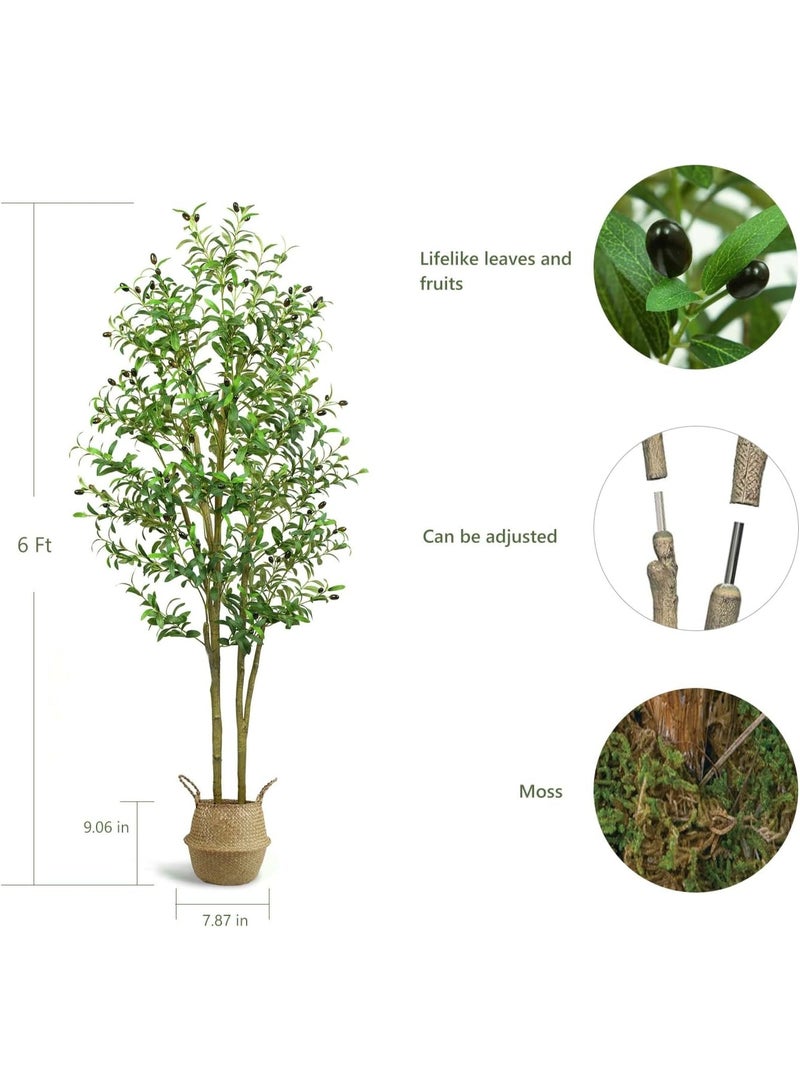 **نبات زيتون اصطناعي في أصيص - شجرة حريرية بطول 6 أقدام (180 سم)، نبات مزيف مثالي في أصيص مع سلة من القش، لتزيين المنزل/المكتب/الحديقة الحديث داخليًا/خارجيًا وهدية لاستقبال المنزل الجديد** - Image 2