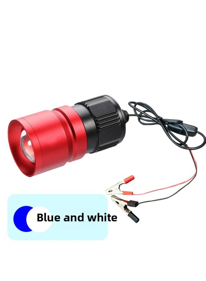 12v Night Fishing Lamp 5v Blue Light Strong Light Usb Fishing Lamp Cap White Blue Double Light Source Super Bright Outdoor Fishing Lamp-Color:12V Clip Section [blue And White Double Light  - Image 1