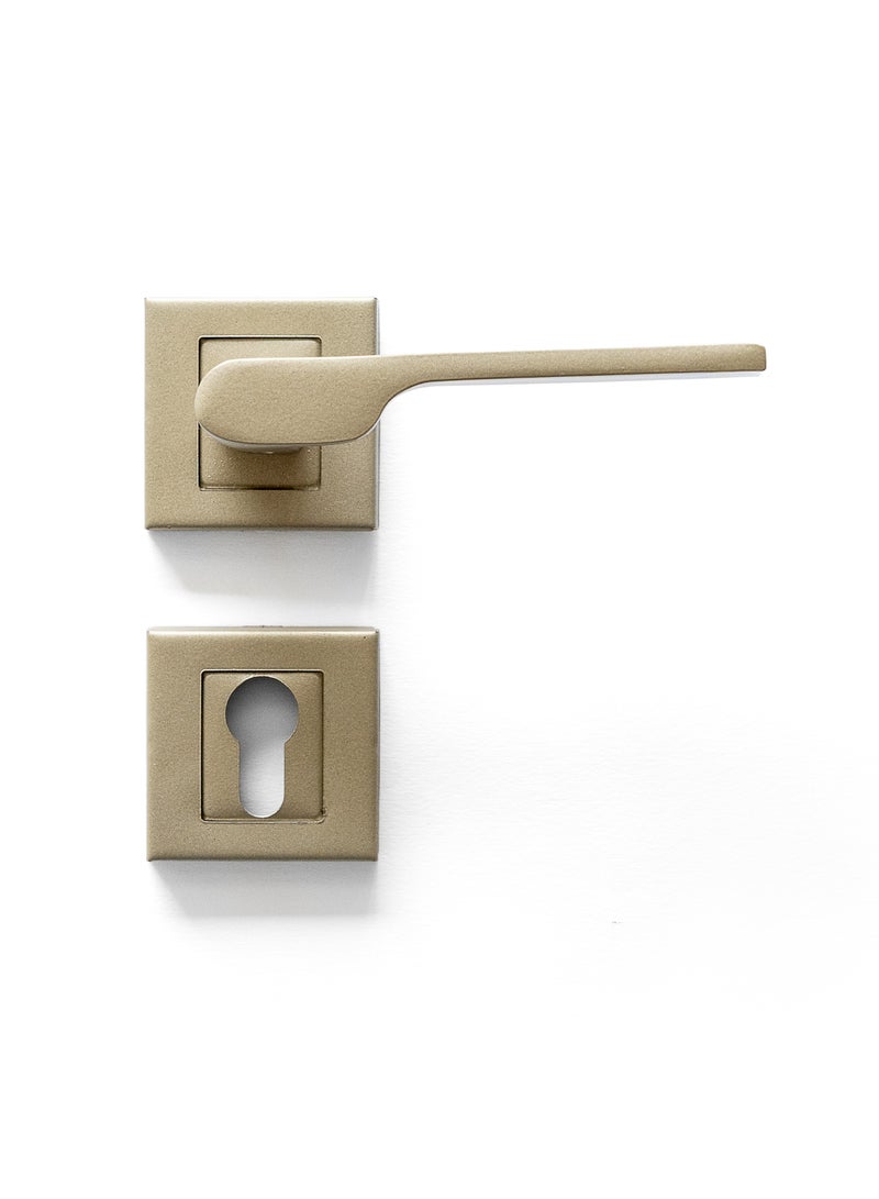 Siag Delta Rosetta Cylinder Door Handle 