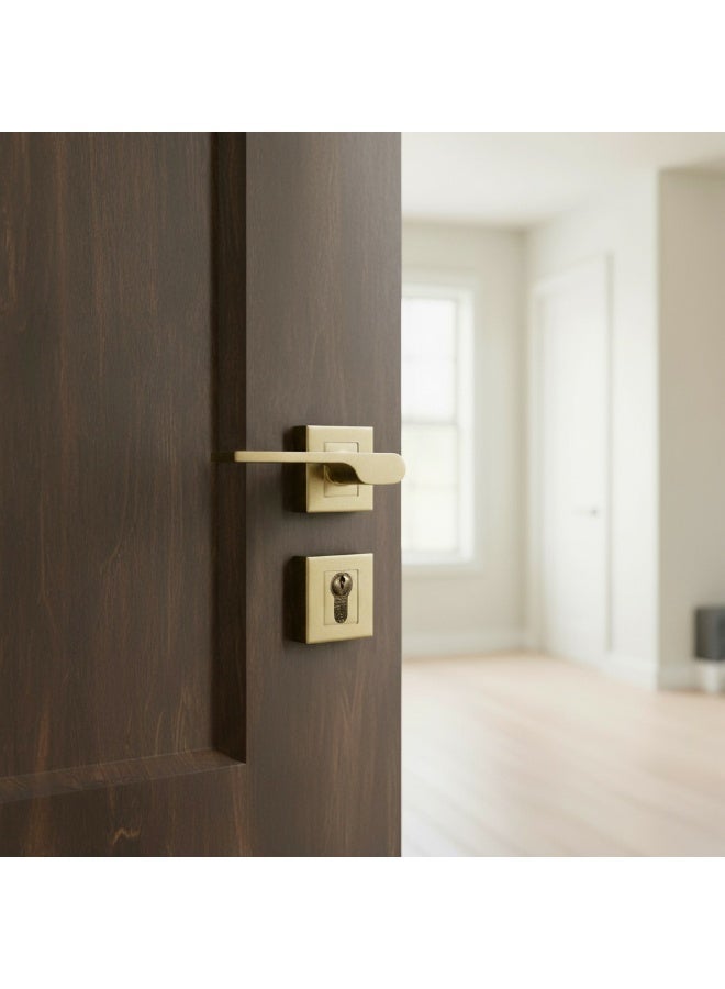 Siag Delta Rosetta Cylinder Door Handle - Image 1