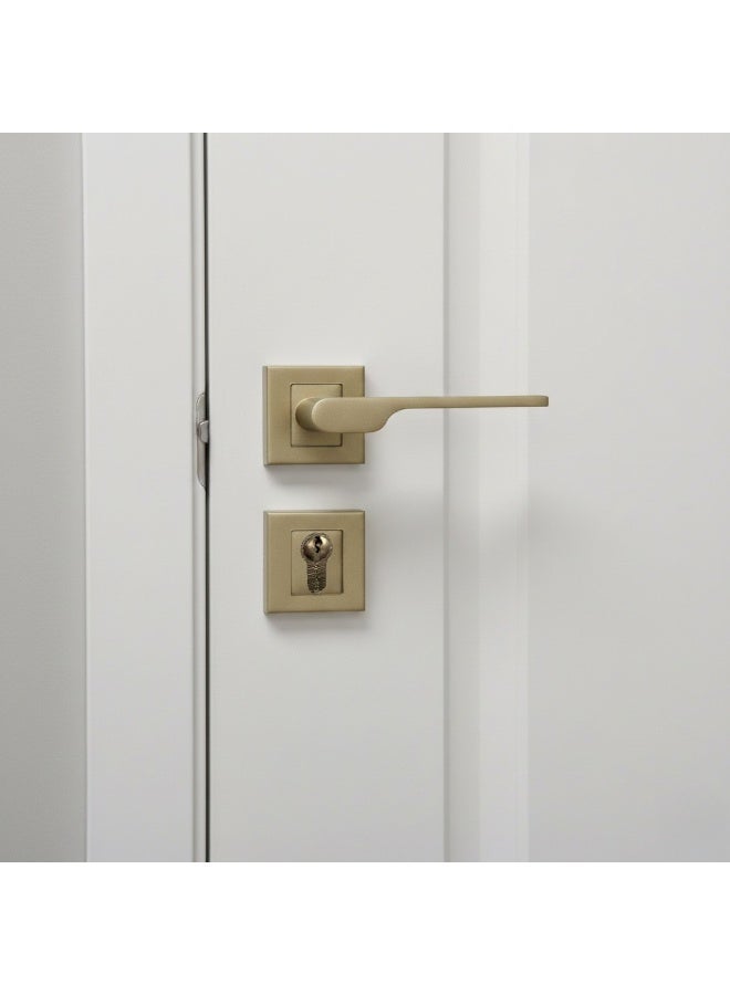 Siag Delta Rosetta Cylinder Door Handle - Image 2
