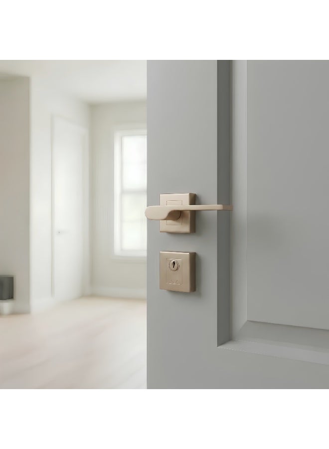 Siag Delta Rosetta Cylinder Door Handle - Image 1