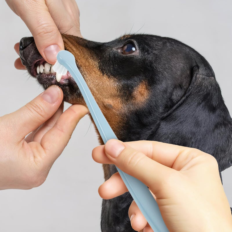 Sky Blue Pet Toothbrush For Cats And Dogs With Soft Bristles And Ergonomic Handle - Image 4