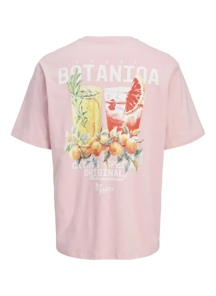 JACK & JONES Jorbotaniq Crew Neck T-Shirt
