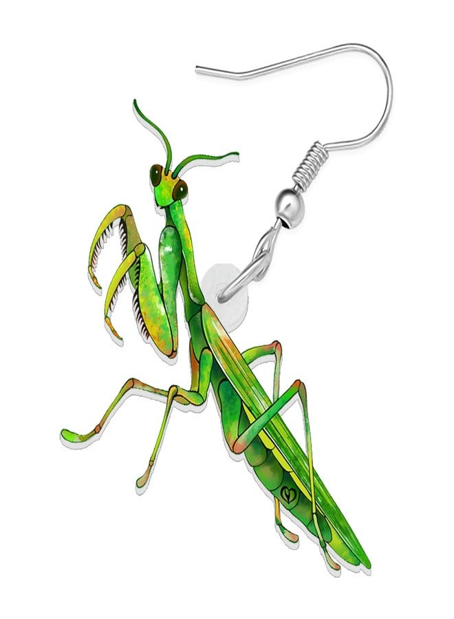 NEWEI Acrylic Insect Bug Earrings Dangle Praying Mantis Jewelry for Women Animal Lovers Funky Gifts (Praying Mantis A) - Image 4