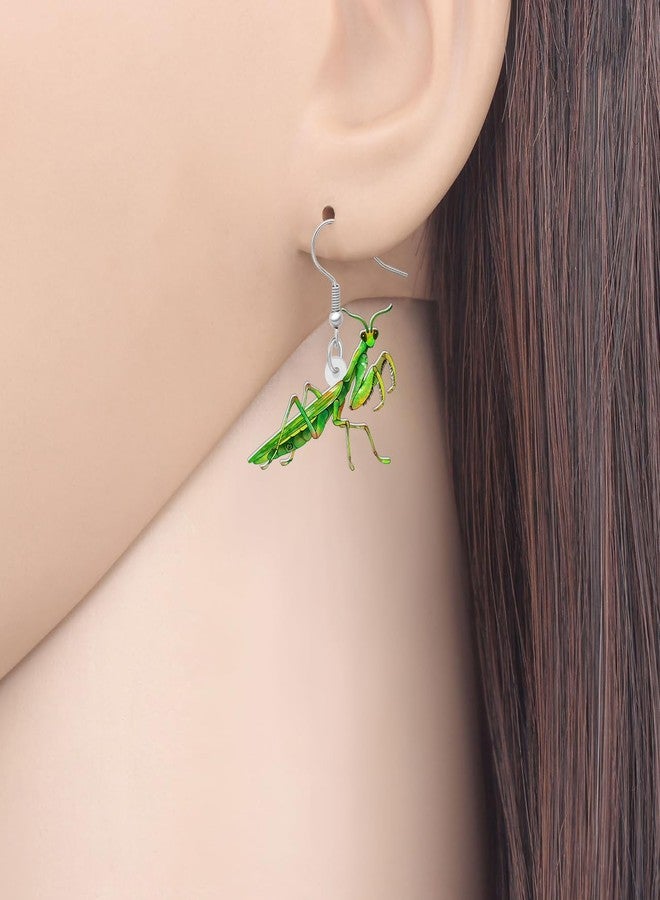 NEWEI Acrylic Insect Bug Earrings Dangle Praying Mantis Jewelry for Women Animal Lovers Funky Gifts (Praying Mantis A) - Image 2