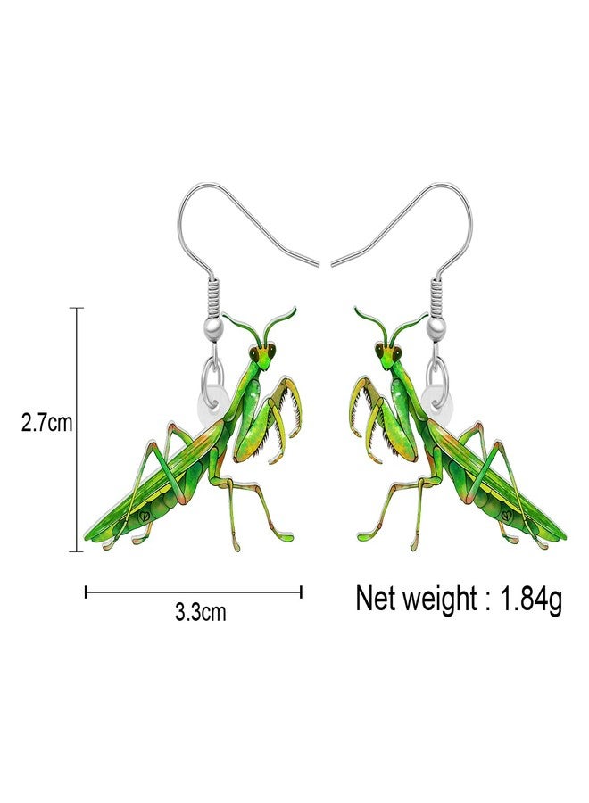 NEWEI Acrylic Insect Bug Earrings Dangle Praying Mantis Jewelry for Women Animal Lovers Funky Gifts (Praying Mantis A) - Image 5