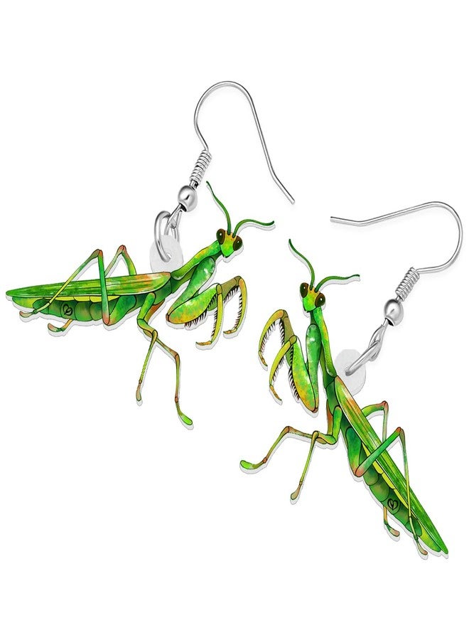 NEWEI Acrylic Insect Bug Earrings Dangle Praying Mantis Jewelry for Women Animal Lovers Funky Gifts (Praying Mantis A) - Image 3