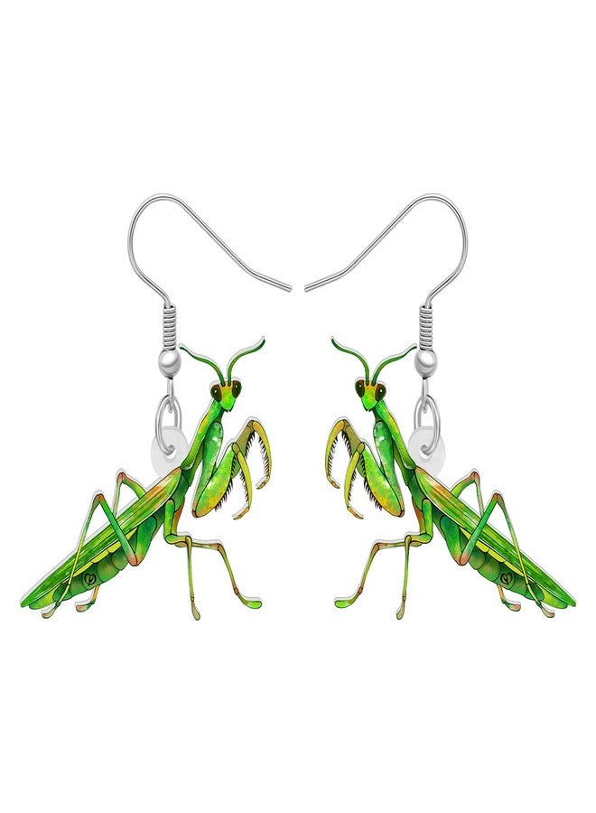 NEWEI Acrylic Insect Bug Earrings Dangle Praying Mantis Jewelry for Women Animal Lovers Funky Gifts (Praying Mantis A) - Image 1