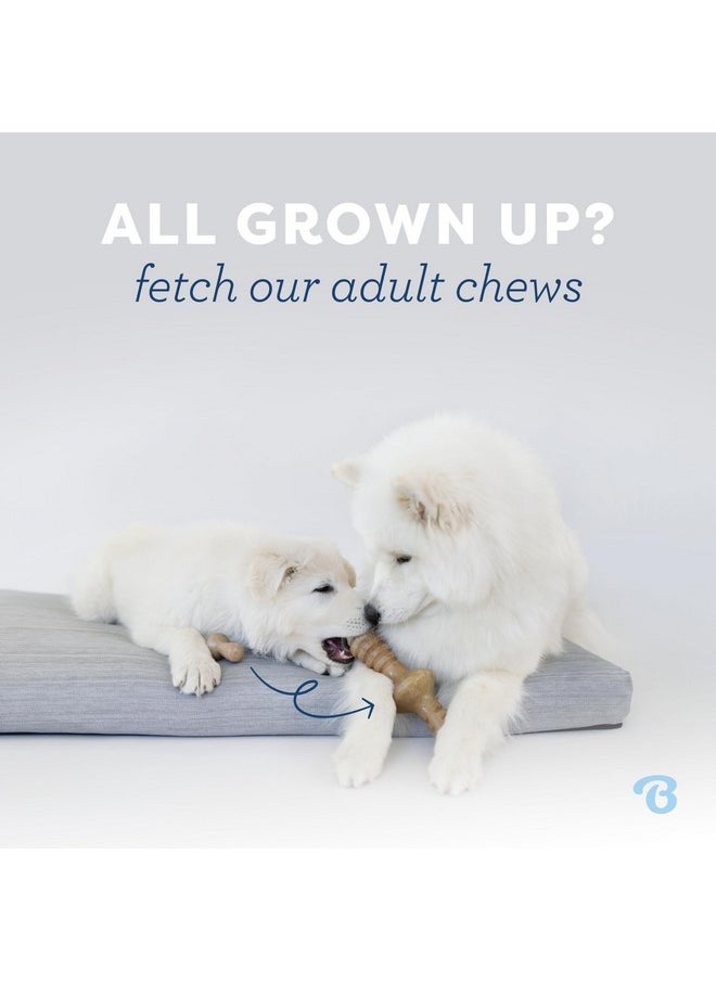 Benebone - Benebone Puppy 2-Pack Dental Chew/Wishbone Dog Chew Toys, Made in USA, Real Bacon Flavor - Image 1