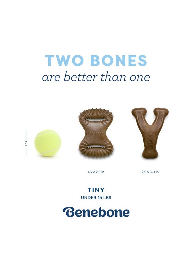 Benebone - Benebone Puppy 2-Pack Dental Chew/Wishbone Dog Chew Toys, Made in USA, Real Bacon Flavor - Image 1