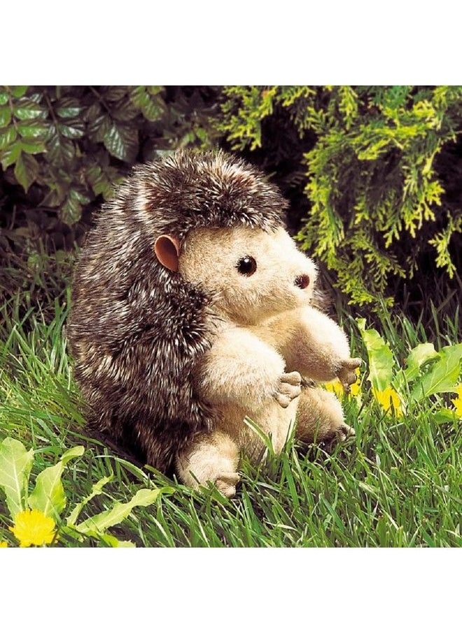 Hedgehog Hand Puppet - pzsku/Z8567CDDFEA7C215FCD0EZ/45/_/1692165374/62ae9eff-f1b1-425d-8b9c-469069246787