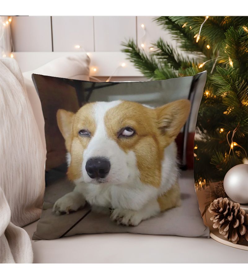 45x45cm Double Sided Short Plush Corgi Pillowcase with Zipper for Home Decor - Image 2