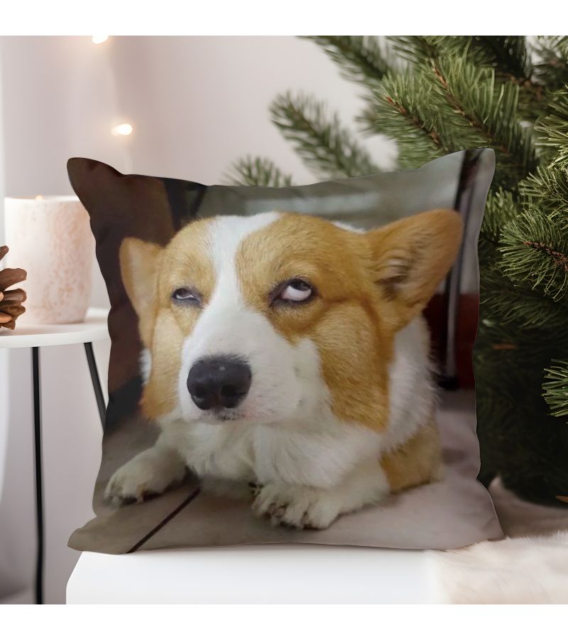 45x45cm Double Sided Short Plush Corgi Pillowcase with Zipper for Home Decor - Image 1
