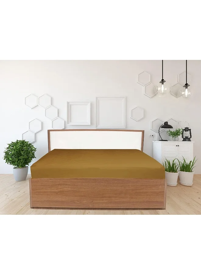 Hotel Linen Klub Hotel Linen Klub Queen Fitted Sheet - 1 Piece, 100% Cotton, 250 Thread Count for Ultimate Softness and Comfort, Cool and Breathable Fabric, Size: 180 x 200 cm, Deep Pocket with Elastic Edges, Bronze