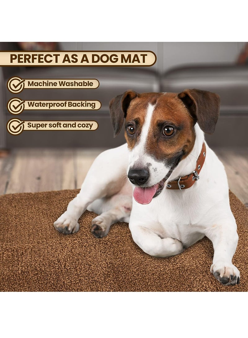 RATSAW Door Mat Indoor Entrance 60cm X 90cm Entryway Rugs Indoor Super Absorbent Washable Microfiber Rugs for Entryway Non Slip Door Mat Indoor Entrance Indoor Door Mat  - Image 3