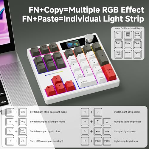 BOYI TD31Pro Mechanical Number Pad,Bluetooth5.0/2.4G/Type-C Wireless Numeric Keypad,RGB HotSwap Numpad with Screen&Knob,PBT Keycaps Rechargeable Gasket Number keypad for Working/Gaming(White-Grey) - Image 5