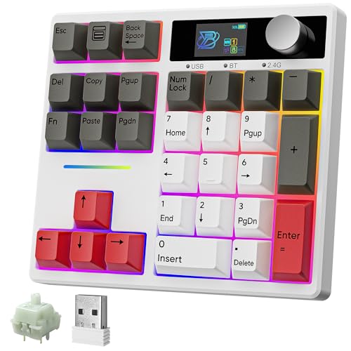BOYI TD31Pro Mechanical Number Pad,Bluetooth5.0/2.4G/Type-C Wireless Numeric Keypad,RGB HotSwap Numpad with Screen&Knob,PBT Keycaps Rechargeable Gasket Number keypad for Working/Gaming(White-Grey) - Image 1