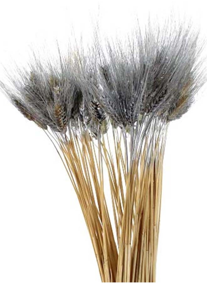 Generic Natural Dried Multi-Coloured Wheat Grass Bouquet Bundle (200, Silver)  - Image 1