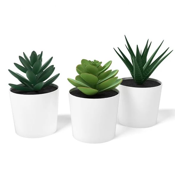 PAPERI Artificial Succulent Plants for Home Dcor Set of 3 Faux Succulent Flowers with White Pots Indoor Decoration for Living Room Desk Bathroom