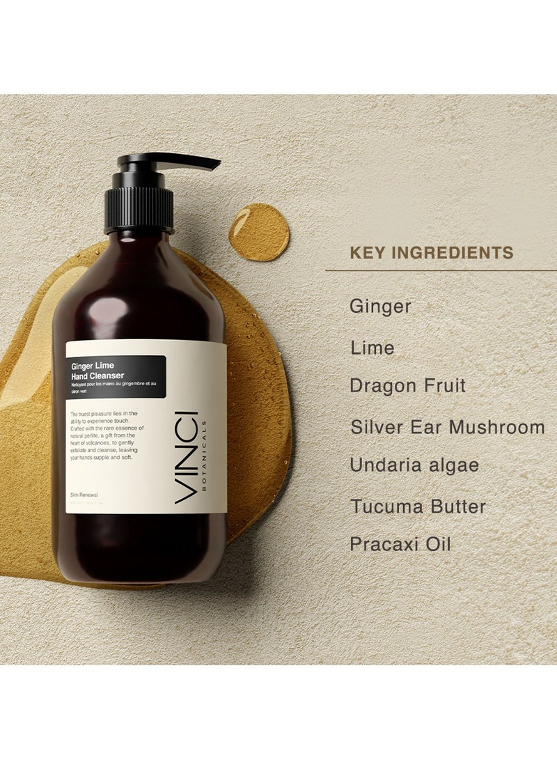 Vinci Botanicals Ginger Lime Hand Cleanser | Gentle Exfoliating Hand Wash | Cleanses & Hydrates Skin | Made with Essential Oils | Cruelty, Vegan & Paraben Free | Fresh & Citrusy Aroma | 500 ml - Image 2
