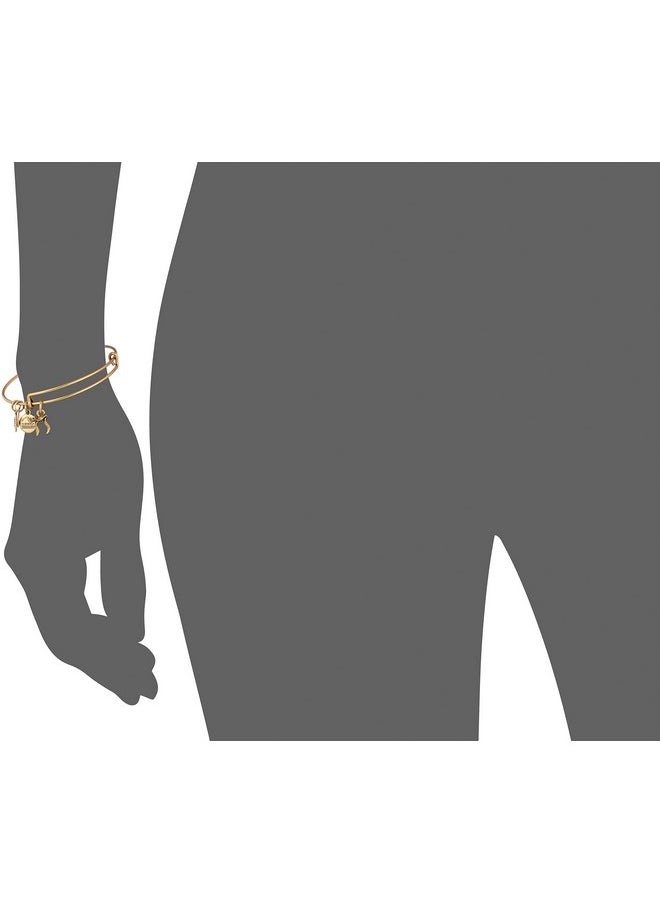 ALEX AND ANI Chai Charm Bangle Rafaelian Gold Expandable  - Image 2