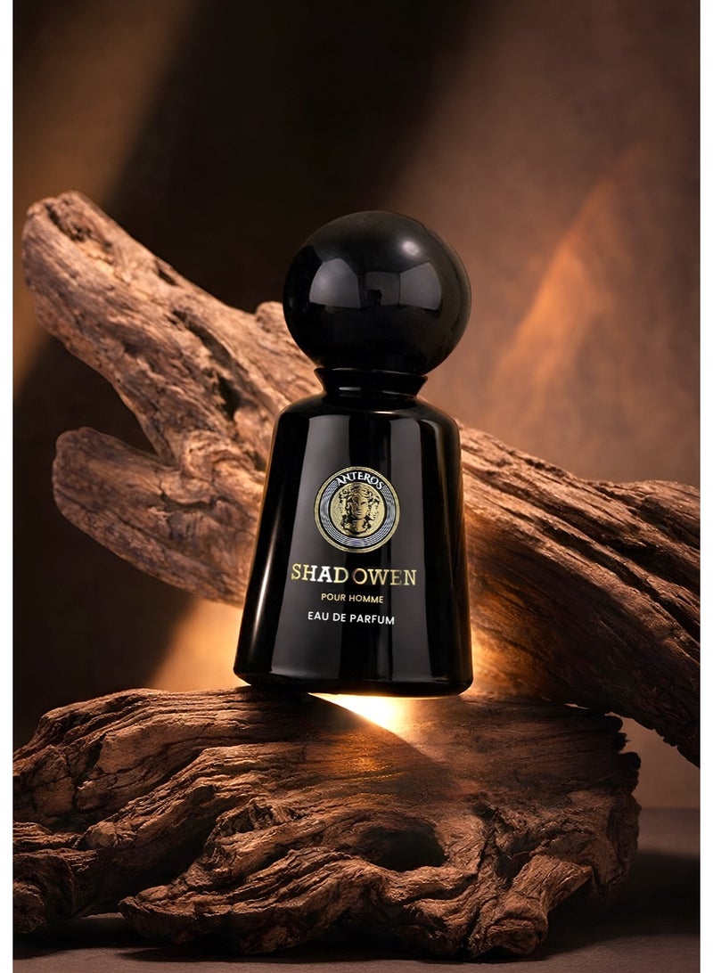 أنتروس أنتيروس شادوين أو دو بارفان 100 مل للرجال | عطر فاخر خشبي وتابلي طويل الثبات مع العنبر والمسك - Image 1