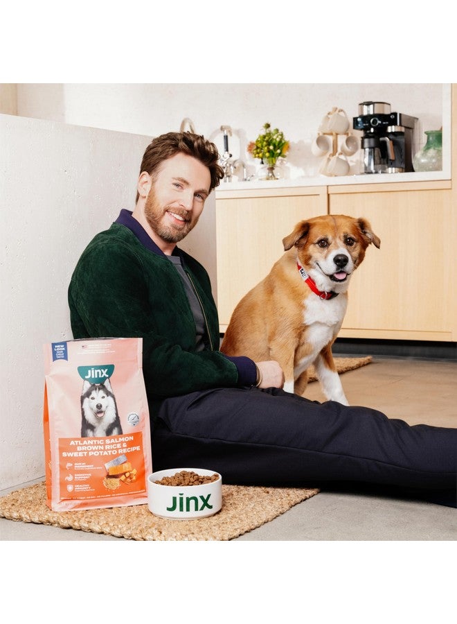 جينكس طعام كلاب جينكس الجاف الفاخر الخالي من الحبوب، مناسب لجميع مراحل الحياة - سمك السلمون الحقيقي والبطاطا الحلوة والجزر، مع أطعمة فائقة لدعم المناعة والبروبيوتيك لدعم الهضم - بدون مواد مالئة - 4 أرطال - Image 4