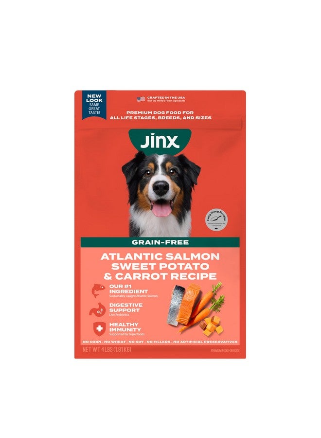 جينكس طعام كلاب جينكس الجاف الفاخر الخالي من الحبوب، مناسب لجميع مراحل الحياة - سمك السلمون الحقيقي والبطاطا الحلوة والجزر، مع أطعمة فائقة لدعم المناعة والبروبيوتيك لدعم الهضم - بدون مواد مالئة - 4 أرطال - Image 1