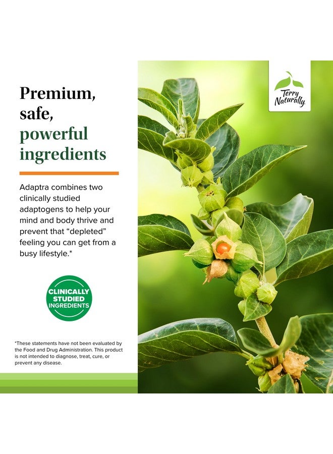 Terry Naturally Adaptra - Supplement to Support Adrenal Health - Ashwagandha Supplement with Rhodiola Rosea Extract - Herbal Supplement to Support Energy & Concentration - 60 Capsules - Image 5