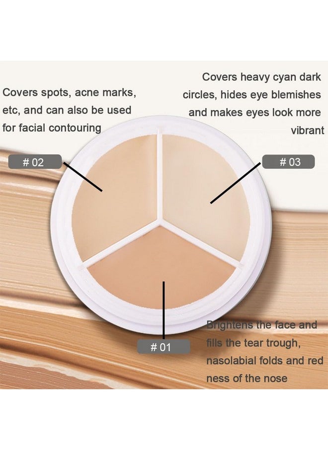 evpct - 2Pcs Tri Color Face Conceal Correct Cream Contour Makeup Palette For Mature Light Medium Skin Color Correcting Conceal Trouble Spots Dullness Under Eye Dark Circles Discolorations Covers Redness - Image 1