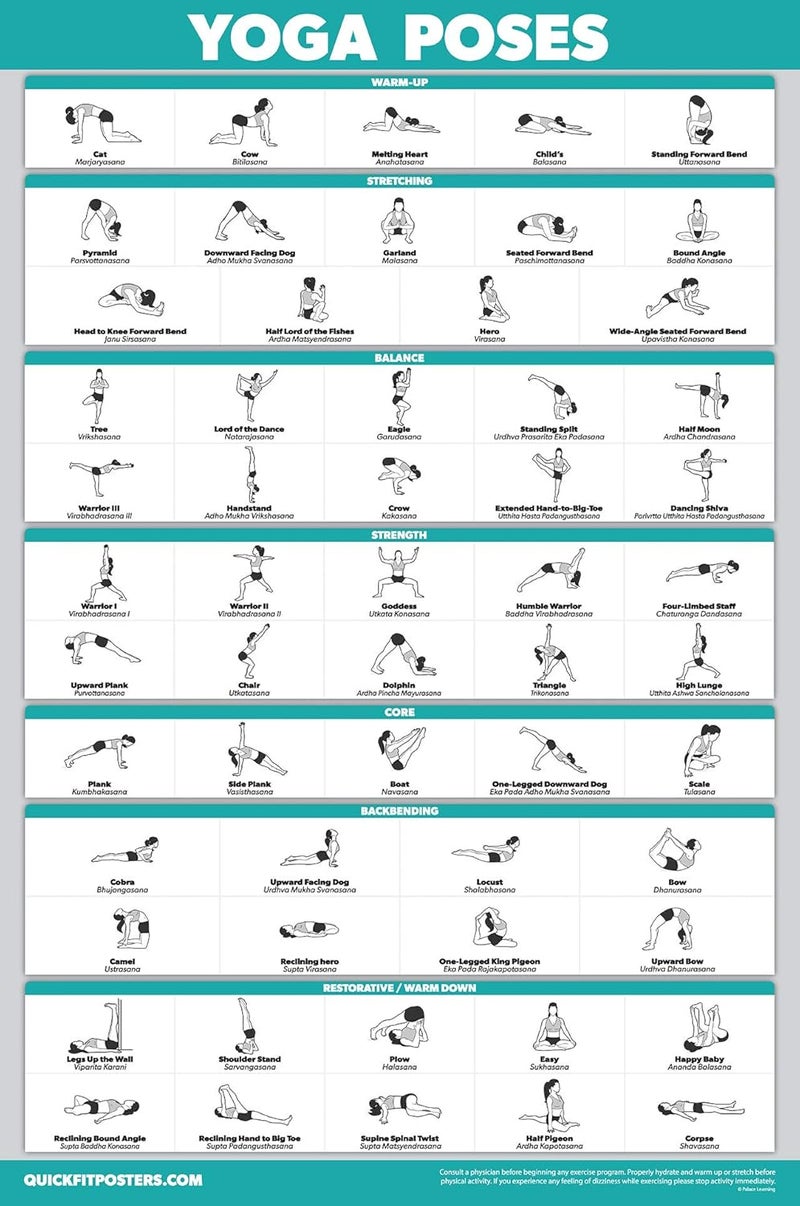 Palace Learning QuickFit Yoga Position Exercise Poster - Yoga Asana Poses Chart - Laminated, 18" x 24" - Image 1