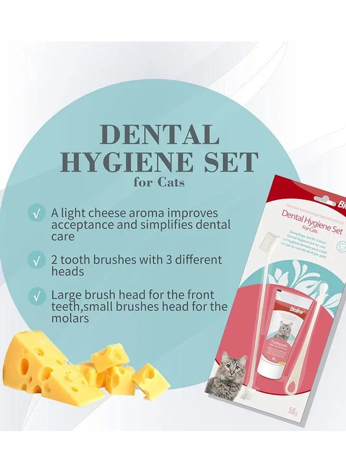 بايولاين مجموعة بيولاين للعناية بصحة الأسنان للقطط 50 جرام - Image 2