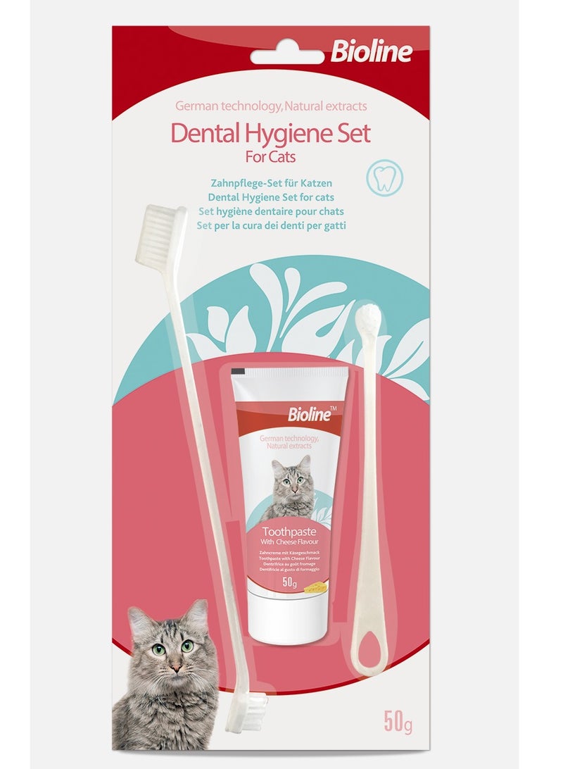 بايولاين مجموعة بيولاين للعناية بصحة الأسنان للقطط 50 جرام - Image 1
