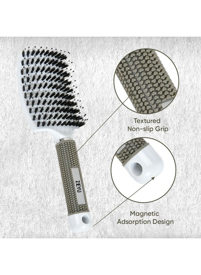 Zeyu Detangler Pain Free Boar Bristles | Hair Brush for Women, Men, Kids, Dry and Wet Detangling Hair Brush | Hair Brush for Men & Women | Soft Nylon Bristles | Detangle Curling and Frizz Control Long Lasting Curles & Waves - For All Hair Types - Image 3