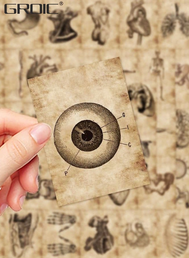 GROIC 56Pcs Human Body Organ Stickers, Human Skeleton Waterproof Stickers, Waterproof Vinyl Decals Sticker Toys for Bike Water Bottles Laptop Refrigerator Cup Luggage Computer Mobile Phone - Image 4