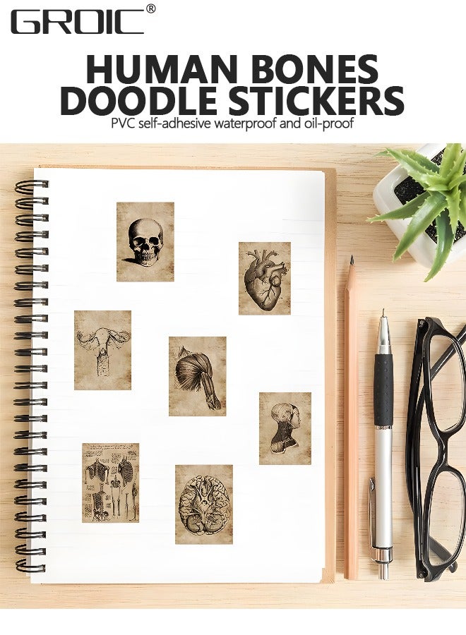 GROIC 56Pcs Human Body Organ Stickers, Human Skeleton Waterproof Stickers, Waterproof Vinyl Decals Sticker Toys for Bike Water Bottles Laptop Refrigerator Cup Luggage Computer Mobile Phone - Image 2