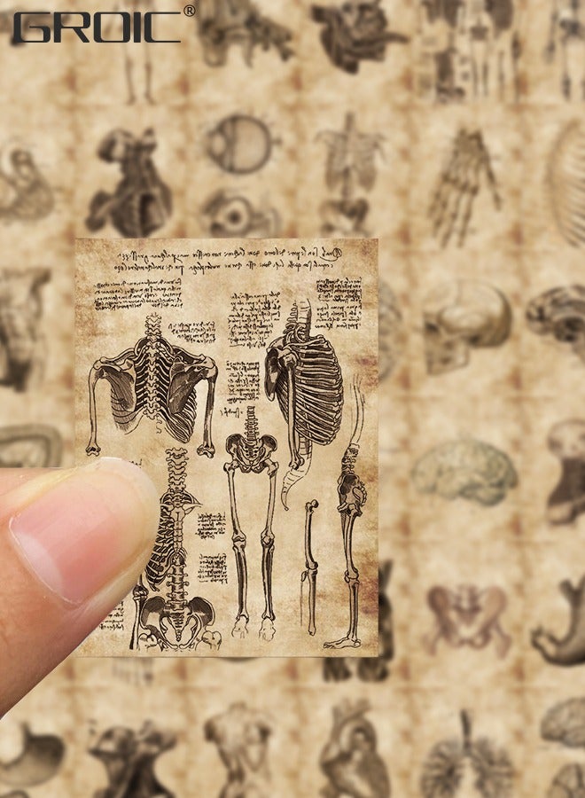 GROIC 56Pcs Human Body Organ Stickers, Human Skeleton Waterproof Stickers, Waterproof Vinyl Decals Sticker Toys for Bike Water Bottles Laptop Refrigerator Cup Luggage Computer Mobile Phone - Image 5