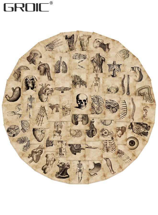 GROIC 56Pcs Human Body Organ Stickers, Human Skeleton Waterproof Stickers, Waterproof Vinyl Decals Sticker Toys for Bike Water Bottles Laptop Refrigerator Cup Luggage Computer Mobile Phone - Image 1