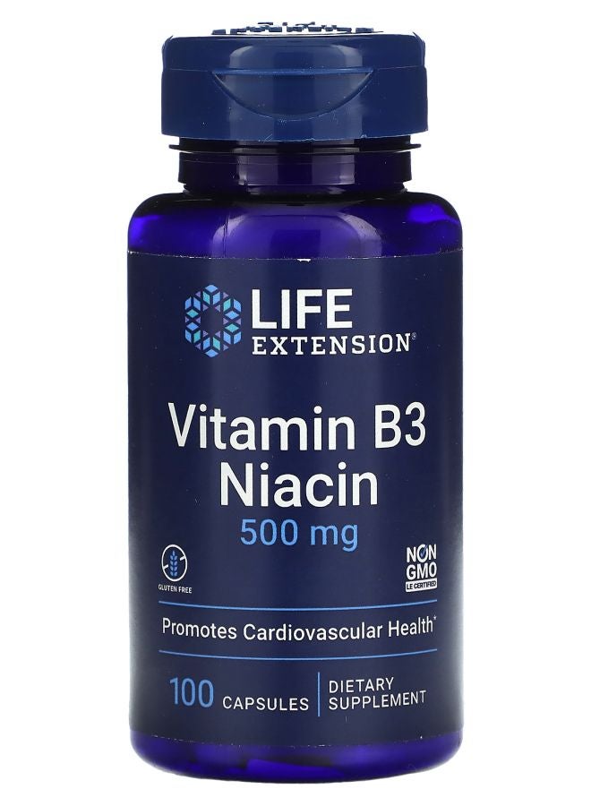 فيتامين ب3 نياسين 500 ملغ 100 كبسولة