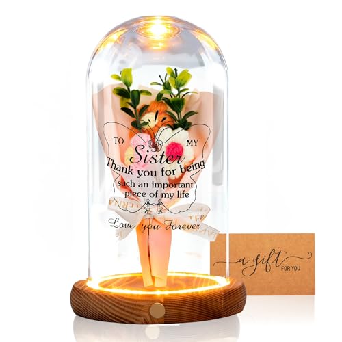 Qunrwe Sister Gifts-Bell Jar Night Lights with Warm Lights for Sisters,Unique Gifts for Sister Gift Ideas for Birthday Christmas Valentines Day Mothers Day,Fake Flower Glass Cloche Bell Jar with Wooden Base - Image 1