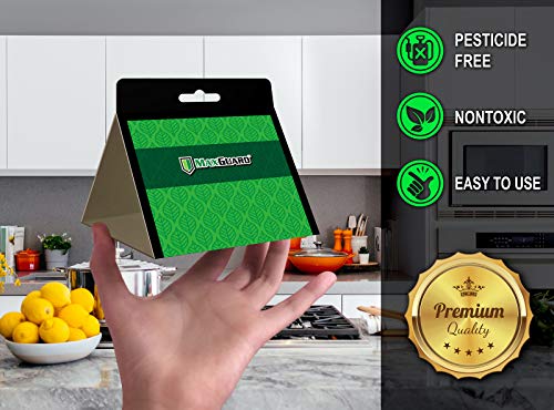 MAXGUARD Pantry Moth Traps (12 Pack +2 Free) with Extra Strength Pheromones | Non-Toxic Sticky Glue Trap for Food and Cupboard Moths in Your Kitchen | Trap and Kill Seed Grain Flour Meal Moths | - Image 3
